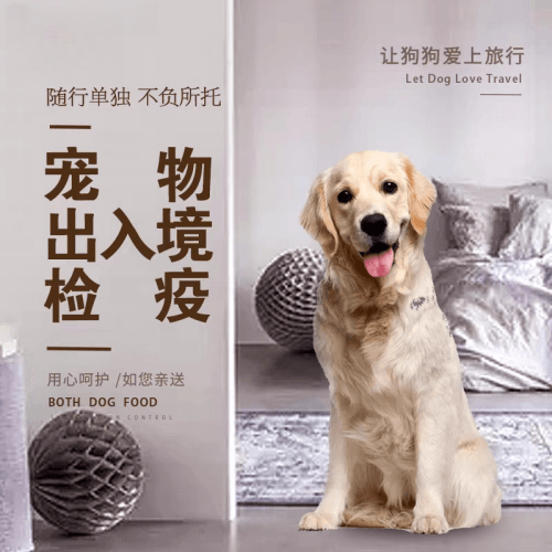 长沙宠物托运到哥伦比亚猫狗宠物入境规定和