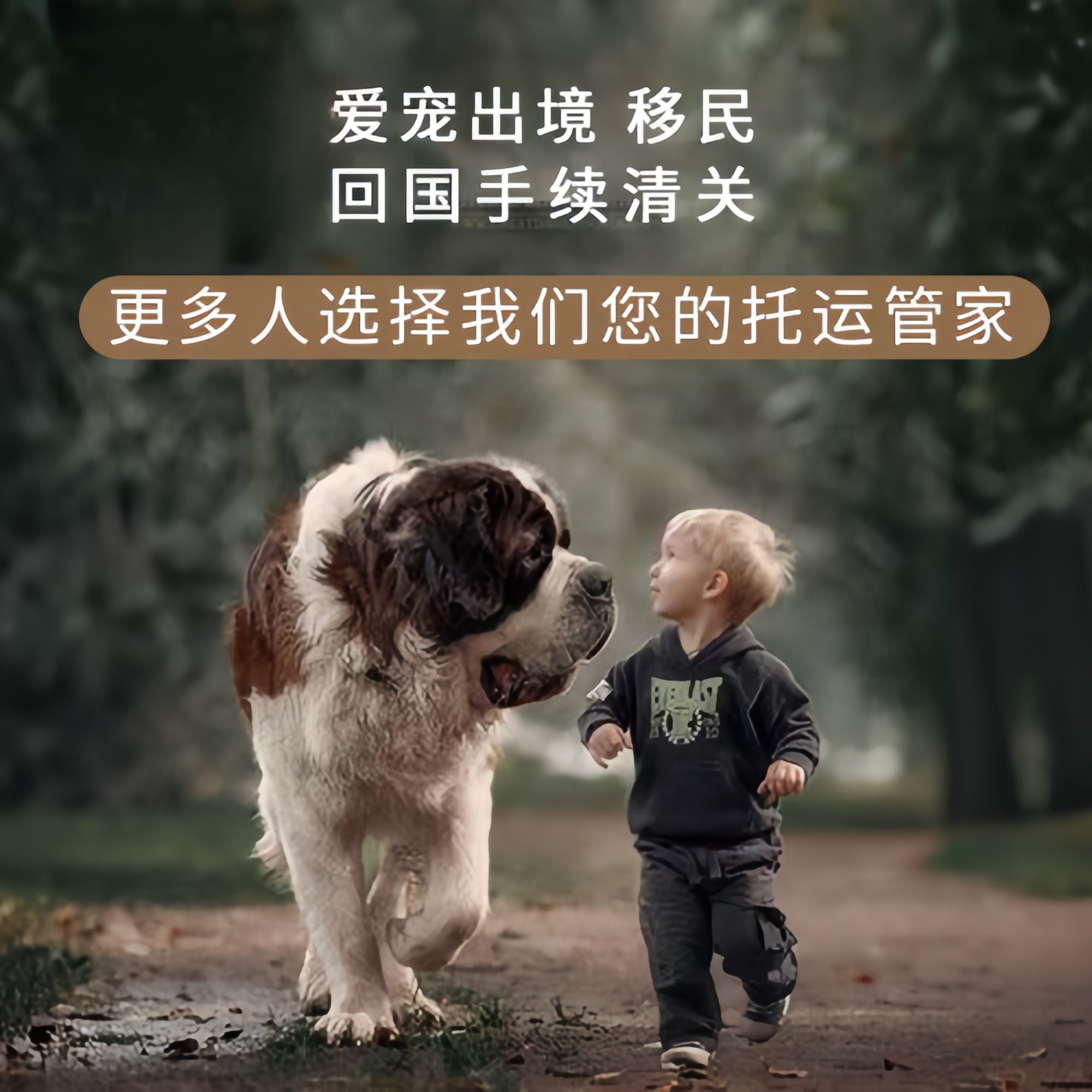 满财长沙宠物全球达宠物托运在遵守入境目的地政策的条件
